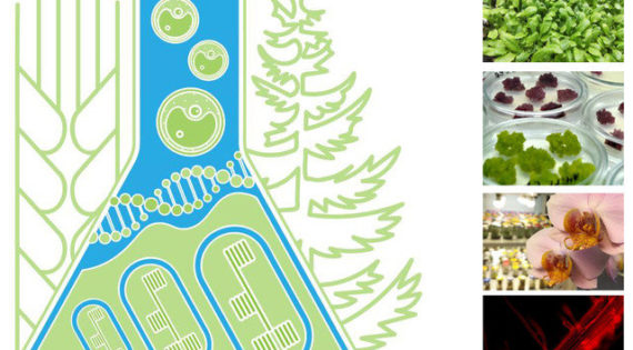 conference-cytobiology-and-plant-biotechnology